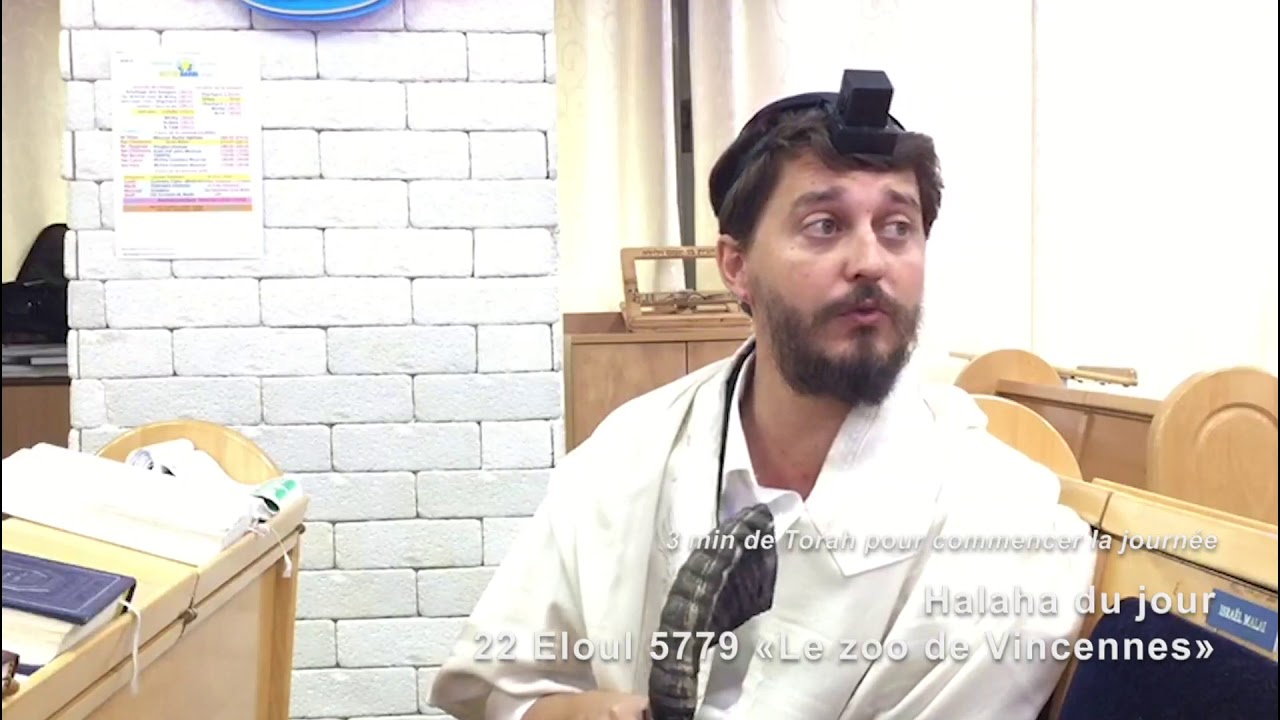 22/9/19 les 3mn de torah du rav Chemouny du centre rachi de Netanya 22 eloul