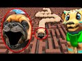HUNGRY PIBBLE WORM IN A MAZE... (Gmod Sandbox) Mp3 Song