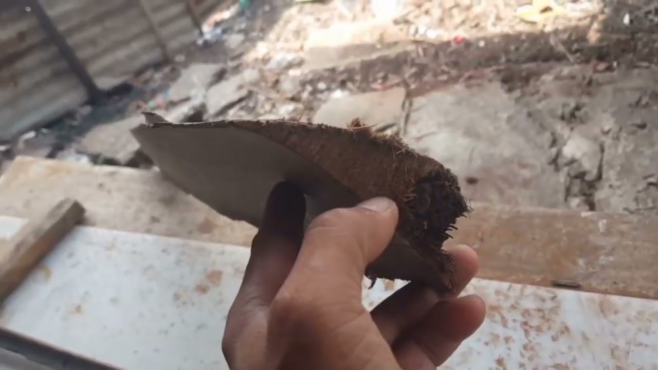 ก้านลานแก่แห้งคุณภาพดี แข็งแรง เหนียวทน สปริงตัวดี มอดไม่กิน เชื้อราไม่ขึ้น