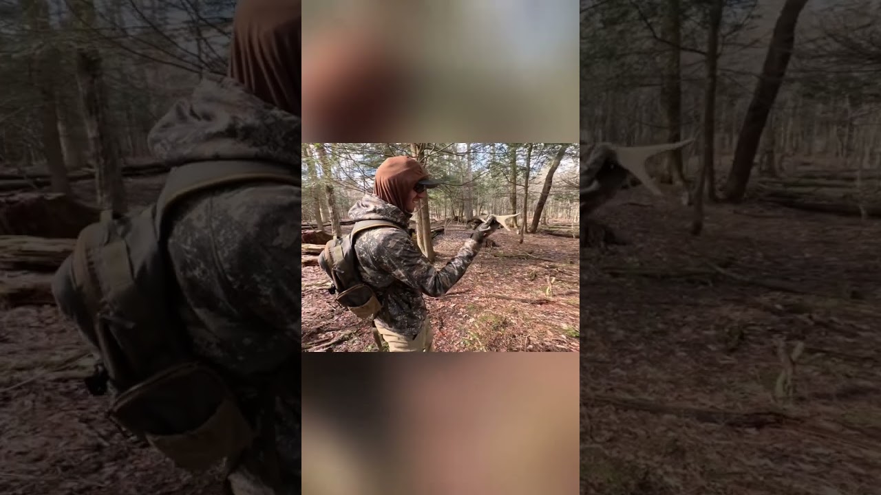 Camouflage Hunter Finds HUGE Winter Kill Antlers!