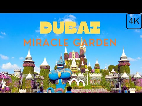 Miracle Garden Dubai 2024 || The world’s largest natural flower garden #dubai #dubaitravelguide