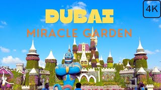 Miracle Garden Dubai 2024 || The world’s largest natural flower garden #dubai #dubaitravelguide