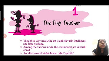 The Tiny Teacher part 1| class 7 | Explanation |English NCERT| CBSE