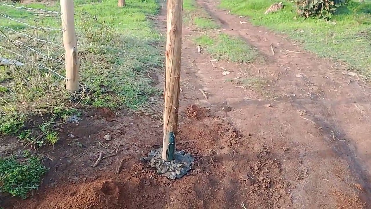 THIS WHAT I HAVE BEEN TELLING THEM