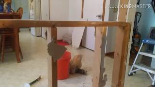 Celebrity How to remove a non-load bearing wall Net Worth