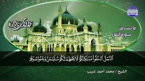 تلاوة نادرة من سورة النمل للشيخ محمد احمد شبيب ❤️