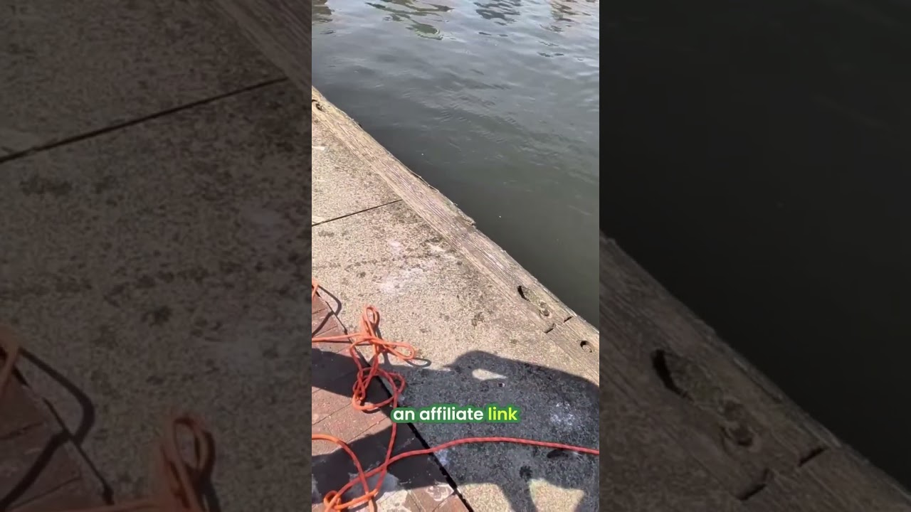 Baltimore's storm drains run straight into the harbor and the Chesapeake Bay