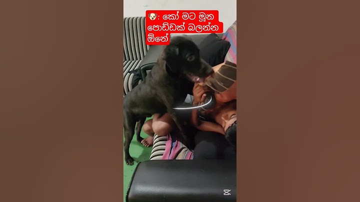 මූන පොඩ්ඩක් පෙන්නන්න උම්මා එකක් දෙන්න ❤️❤️ #love #shortsfeed