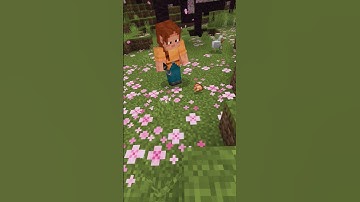 #minecraft #edit #fyp #shorts #sad