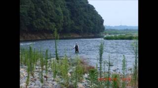 相模川の鮎釣り-1