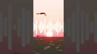 Чуєш мамо…#shorts #ai #aimusic #українськіпісні #airemix #aishorts