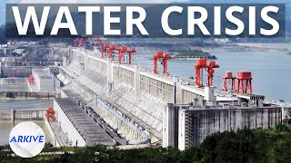 China's Water Crisis, Explained