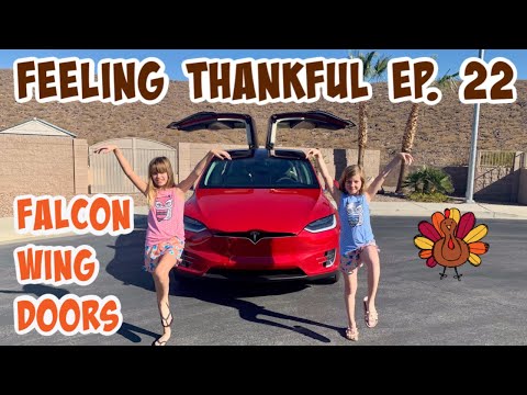 feeling-thankful-for-the-falcon-wing-doors-feature-of-the-tesla-model-x---episode-#22