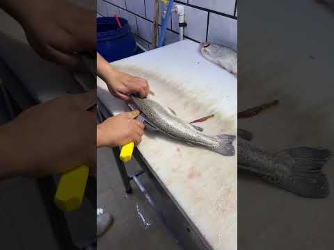 رکوردجهانی گینس درفیله کردن قزل الا جابه جا شد سریعترین فیله کردن قزل الا در ۱۰ ثانیه Viral Fish