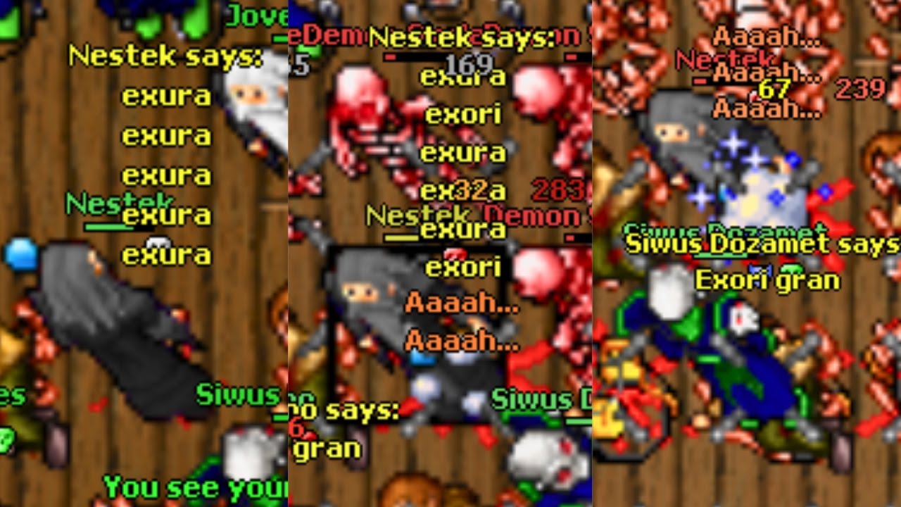 NESTEK EK 161 BOTTER & RED SKULL TRAP [INSANE LOOT] (Valoria 2009 8.52)