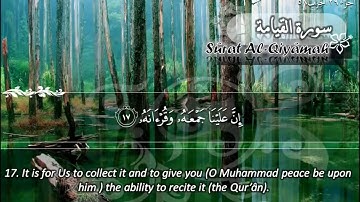الشيخ فارس عباد _ سوره القيامه باداء رائع وجميل ♥