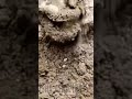 Dry crumbling on paste #sandmentcrushing #crumbleart