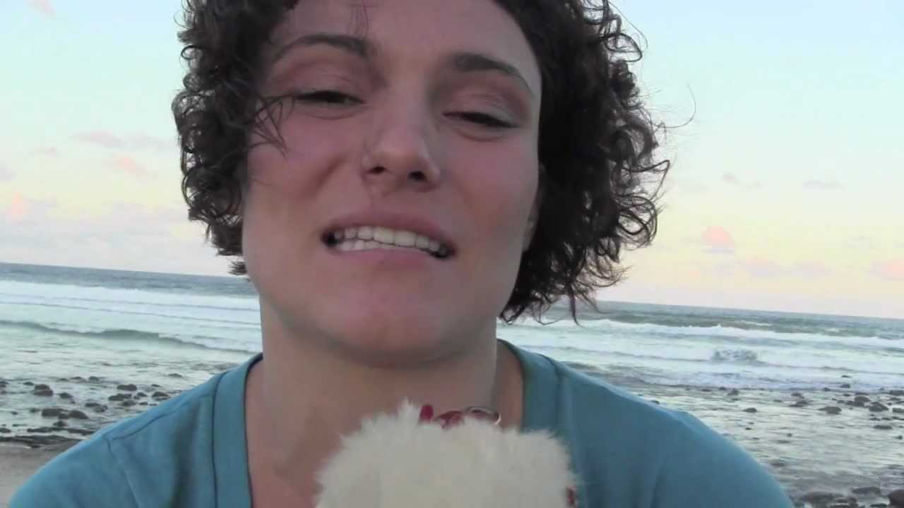 Going on holiday with your ferrets - www.Ferret-World.com