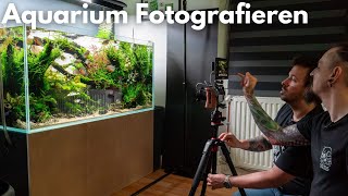 Aquarium Fotografieren - Wettbewerbsfoto einfach machen! by Liquid Nature 4,269 views 1 month ago 18 minutes