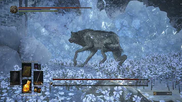 Dark Souls 3 - Champion Gravetender & Gravetender Greatwolf (PC / 1440p / 60fps)