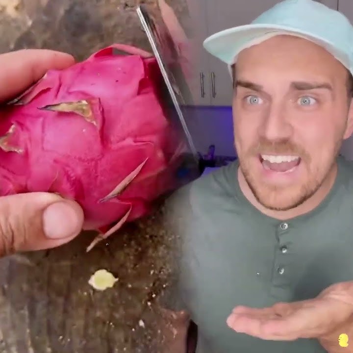 The Lawyer Kid’s Dragon Egg. #pov#fyp#foryou#shorts