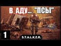 S.T.A.L.K.E.R. В Аду... Псы #1. КЛУБОК ЗМЕЙ!