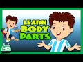 Body Parts for Kids Learning | Human Body Parts for Kids | KIDS HUT