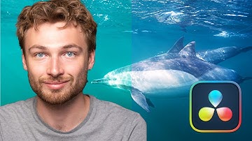 Color Grading // Adding Warmth to an Underwater Video