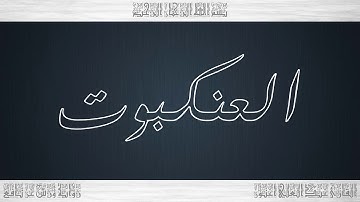 029 HD القرآن سورة العنكبوت ورش القارئ عبد العلي أعنون