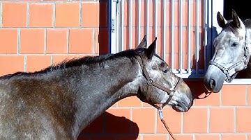 2012 - A Year full of decisions.