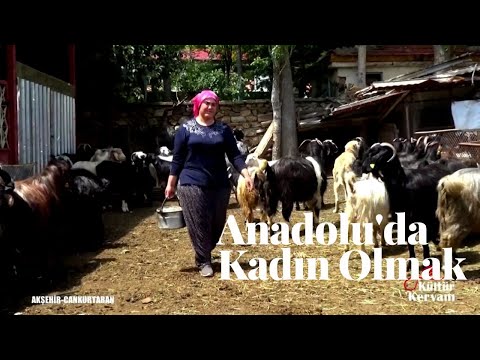 Anadolu köylerinde Kadın Olmak- Fatime Bacı'nın Köy Hayatı ve Doğal Yaşam