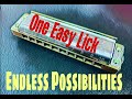 One Easy Lick ENDLESS Possibilities! (Phrasing) beginner/intermediate