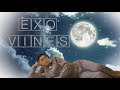 EXO vines to watch under the moonlight