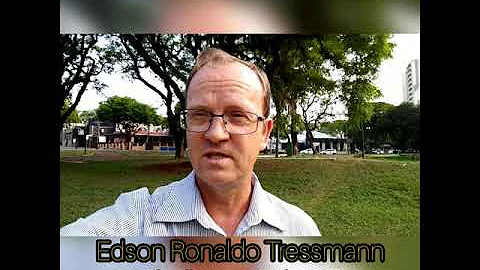 O que a Bíblia fala sobre abelhas?