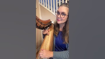 22Nov25 Random Bass Line: E #harp #improvisation #relaxingmusic #meditationmusic #meditativemusic