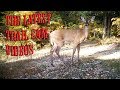 The Latest Trail Cam Videos