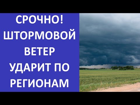 Video: Бардык сезондогу шиналар бардык аба ырайы шиналары менен бирдейби?