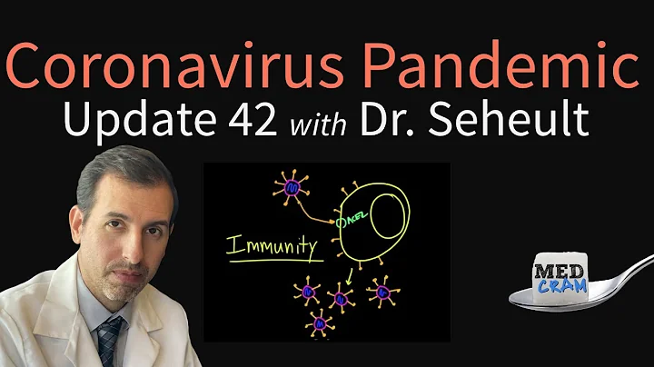 Coronavirus Pandemic Update 42: Immunity to COVID-19 and is Reinfection Possible? - DayDayNews