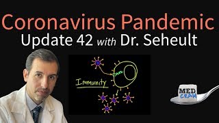 Coronavirus Pandemic Update 42: Immunity to COVID-19 and is Reinfection Possible?
