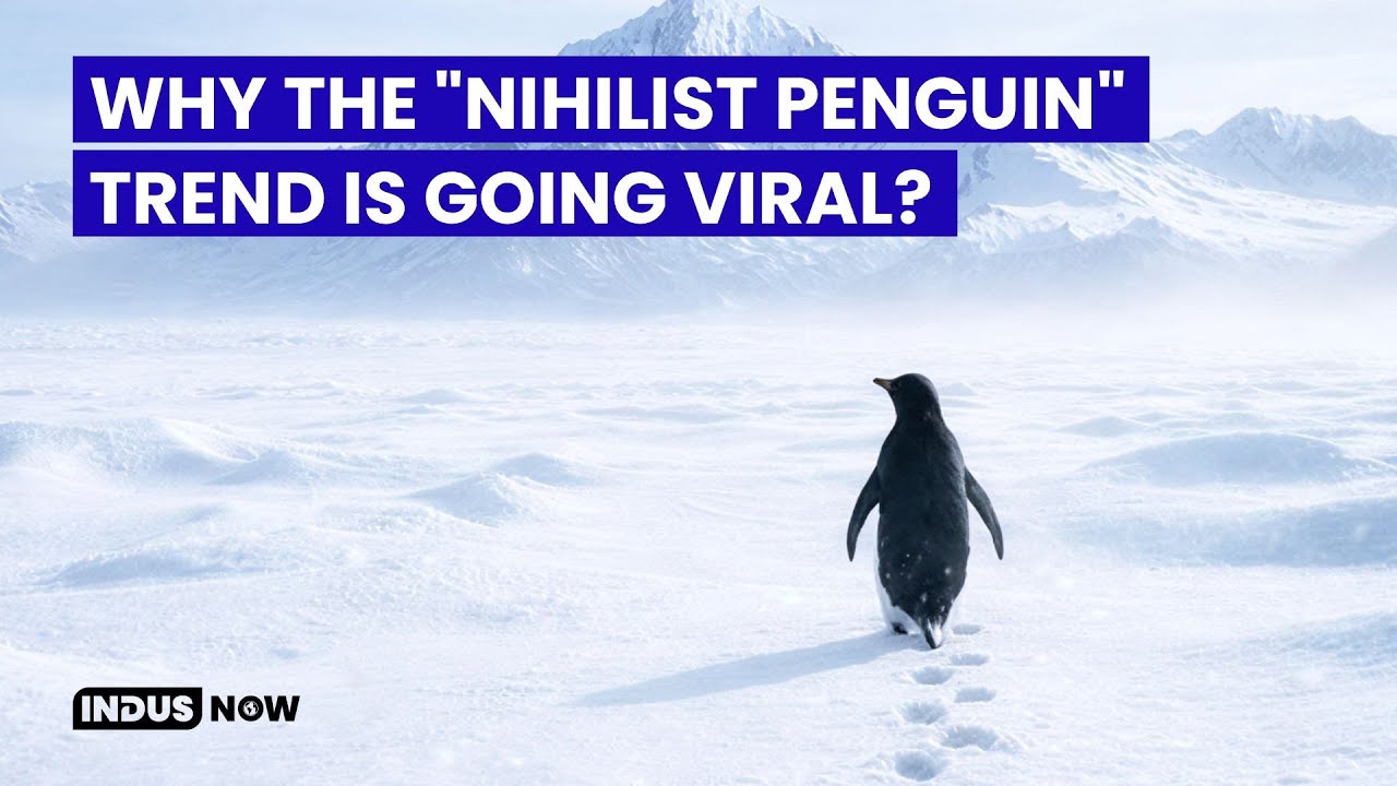 Why the "Nihilist Penguin" Trend Is Going Viral?