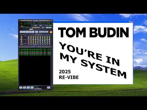 Kerri Chandler, Troy Denari, Dennis Quin - You're In My System