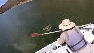 Fly Fishing the Green River in Utah - Float Trip