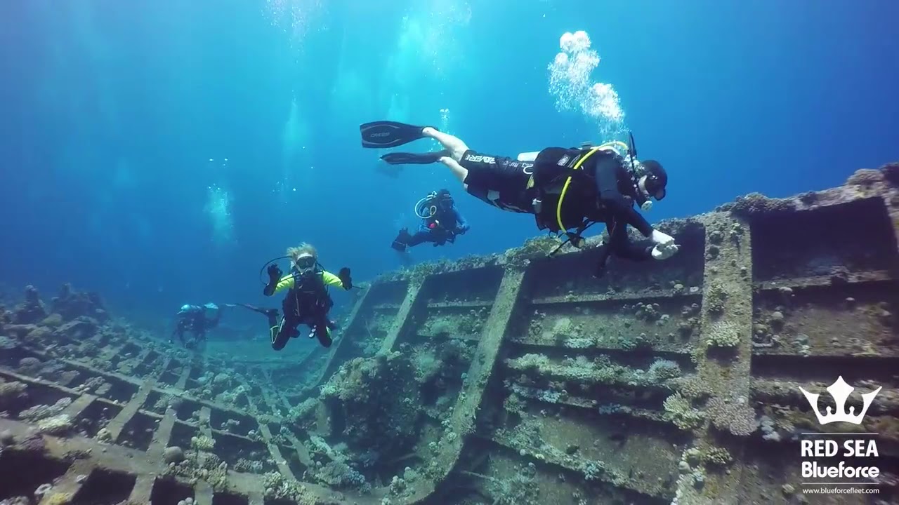 Diving in Egypt - Wrecks&Reefs Route - Liveaboard week 20180728