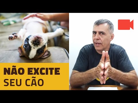 Não excite seu cão. Sexualidade super estimulada.