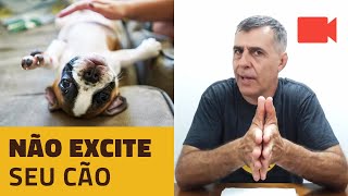 Não Excite Seu Cão. Ualidade Super Estimulada.