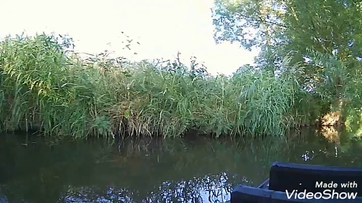 airboat home made first test. Aéroglisseur première sortie/test.