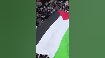 AKSI BELA PALESTINA DI TANGSEL 📢 #shorts #palestina #belapalestina #savepalestine #savegaza #video