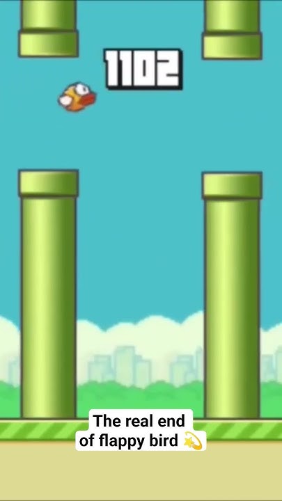 What Is The World Record For Flappy Bird The real end of flappy bird 1000 World Record For Contact : Send a