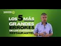 Los 5 más grandes errores de los dueños de restaurantes -Marketing Gastronómico