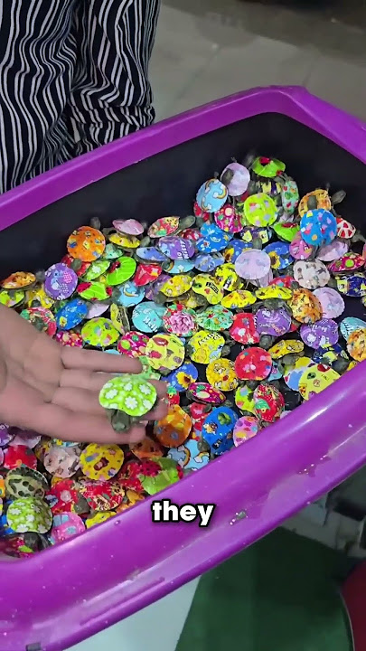 Super Cute Stickers For Turtles ❤️